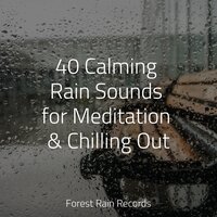 Ocean, Heavy, Shore, Waves - Calming Sounds & Rain Sound Plus & Sleep Songs with Nature Sounds