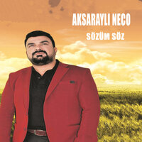 Sevme - Aksaraylı Neco
