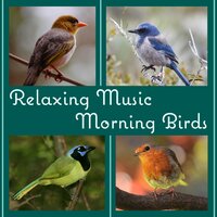 Peaceful Music - Calm Singing Birds Zone