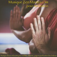 Purification des chakras - Om Shanti