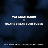 Vai Agachando X Quando Elas Quer Fuder - MC Torugo & MC WL & DJ TH CANETINHA DE OURO