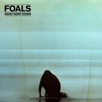 Albatross - Foals & Lake Turner
