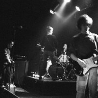 Shaking the dog - Undertakers