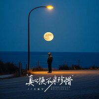 真心换不来珍惜 - 王振宇