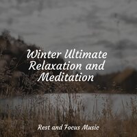 Snowy Tent - Study Power & Relax Meditation Sleep & Shakuhachi Sakano