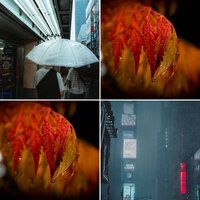 Mysterious Moods for Study n Chill - Lo-Fi Cafe Music