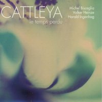 Étè - Cattleya