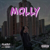 Molly - Martelo & Andrew