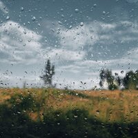 Soft Window Rains - Rising Higher Meditation & Rain and Nature & Pet Care Music Therapy