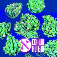 Космический Баскетбол - Сонши Алеф