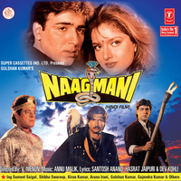 Dil Toot Gaya Tha - Anuradha Paudwal & Anu Malik