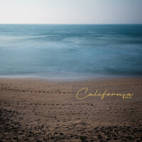 Check - Alex Gomez