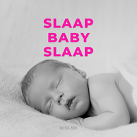 Hoedje Van Papier - Benjamin Bonum Nocte & Slaapliedjes & Slaapliedjes Fee