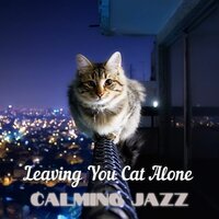 Lazy Sunday - Music For Cats Peace