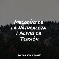 Reflexionando Sobre Estanques - Sueño Lucido & Entrenamiento Autógeno y Meditación Specialistas & Ioga