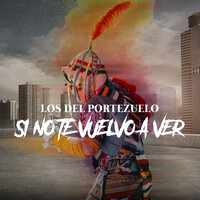 Si No Te Vuelvo a Ver - Los del Portezuelo