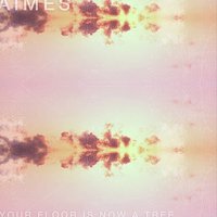 Hard Notes & Love Drugs - Aimes
