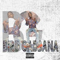 Prada U - FN Bird