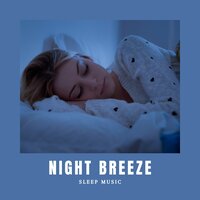 Sleep Music Playlist - Sleep Music