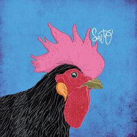 Til the Morning - Salto