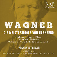 Die Meistersinger von Nürnberg, WWV 96, IRW 32, Act III: "Wahn! Wahn! Ueberall Wahn!" (Sachs) - Orchestra del Festival Di Bayreuth & André Cluytens & Hans Hotter