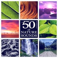 Thunder with Duduk Flute - Affirmations Music Center
