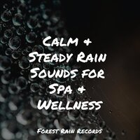 Beach, Far, Waves, Birds, Wind - Rain Shower Spa & 125 Nature Sounds & Rain Sounds Collection