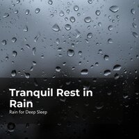 Rain Cures Sleeplessness - Ambient Rain & Rain for Deep Sleep & Gentle Rain Makers