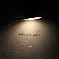 Hold - Anamika