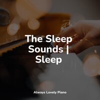 Pleasant Paradise - Soulful Piano Group & Restaurant Background Music & Musica De Piano Escuela