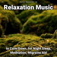 Relaxation Music Pt. 9 - Sleep Music & Relaxing Spa Music & Yoga