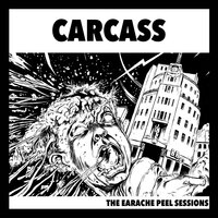 Cadaveric Incubator of Endoparasites - Carcass