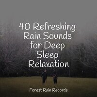 Lakeside, Birds, Lapping Water - White Noise for Baby Sleep & Sounds Of Nature Relaxation & Relaxing Music Therapy