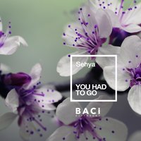 You Had to Go - Sehya