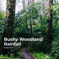 Raining in the Woods - Nature and Rain & Deep Rain Sampling & Jungle Rain
