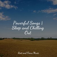 Sleep Sounds - Academia de Música con Sonidos de la Naturaleza & Relaxation Music Guru & Deep Sleep Music Academy