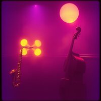 Garden at Night - Honeybee Music