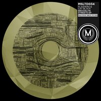 Brooklyn Streets - Cat Black & Flashers