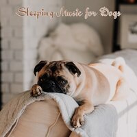 Flute Intentions - Music for Leaving Dogs Home Alone & Music for Calming Dogs & Sleepy Dogs