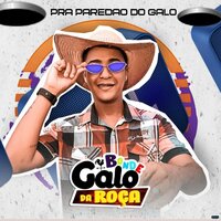 Ta Bom Demais - Bonde Galo Da Roça