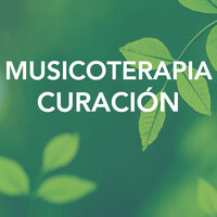 Hatha Yoga - Chakra Música Cura