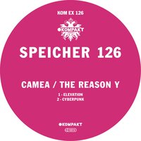 Cyberpunk - Camea & The Reason Y