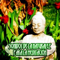 Aceptación (Alivio del Estrés) - Mundo de La Música de Yoga