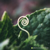 Méditation dans le jardin du zen - Zone de Détente