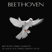 String quartet No. 1, in F Major, Op. 18: IV. Allegro - Budapest String Quartet & Ludwig van Beethoven