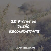 Despertares De Primavera - Piano para Relajarse & Zona Música Relaxante & Sonido Del Bosque y Naturaleza