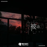 被动 - 影子