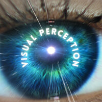 Visual Perception - James