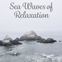 Nature Sounds - Relax Meditate Sleep