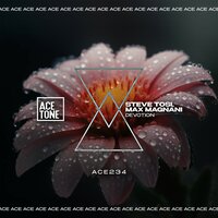Devotion - Steve Tosi & Max Magnani